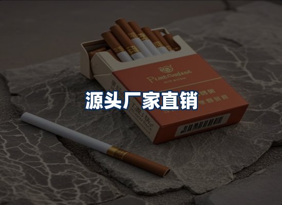 专业团队办公环境